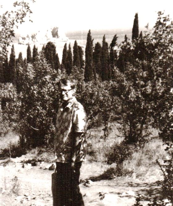 Гурзуф, кипарисовая аллея в урочище Хазар (ныне - захваченном Артеком). 1978 г.